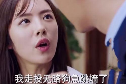 小武媳妇小雨爆料视频,揭秘夫妻生活的真实一面 第2张 小武媳妇小雨爆料视频,揭秘夫妻生活的真实一面 第2张