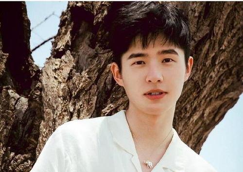 刘昊然爆料八卦视频合集,揭秘娱乐圈幕后那些事儿