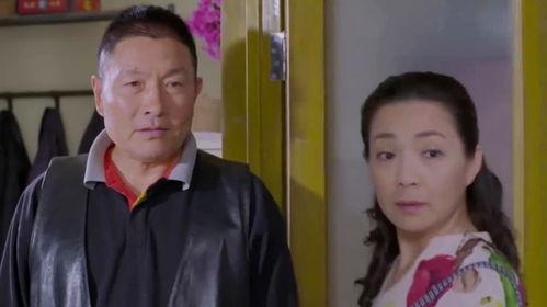 婆妈女婿在线观看,温馨家庭生活喜剧在线观看攻略  第2张